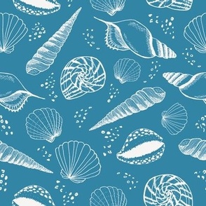 Seashell ✦ Ocean Shell (blue)