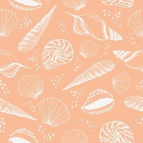 Seashell ✦ Ocean Shell (peach)