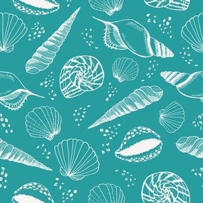 Seashell ✦ Ocean Shell (sea green teal)