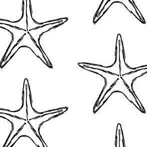 Black and White Starfish Sketch