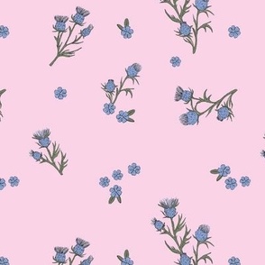 Wild flower meadow - colorful thistles freehand wild garden design lavender lilac on pink