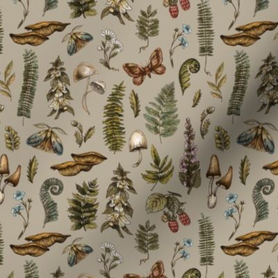 Forest mushrooms and flowers on beige - S