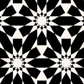 Geometry Black and White Pattern
