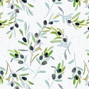 lime olive branches