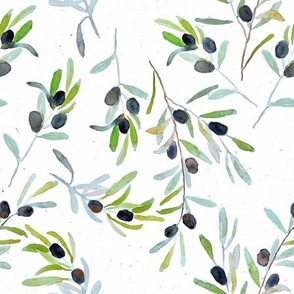 medium green olive branches / watercolor / home decor / leaves