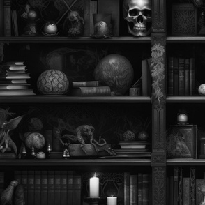 Spooky Photo-realistic Dark Academia Bookshelves in Black and White with Glowing Candles and Skulls