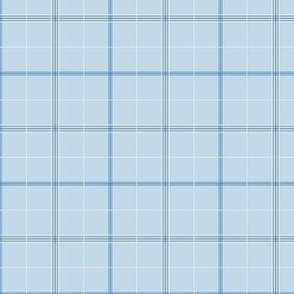 Taylor Check - 3236 small // baby blue and white