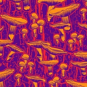 Mushroom psychedelic in apricot. Large scale