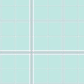 Taylor Check - 3238 medium // light aqua teal, pink and white