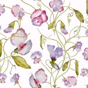 Art and crafts watercolor pink and purple sweet peas (large scale) 
