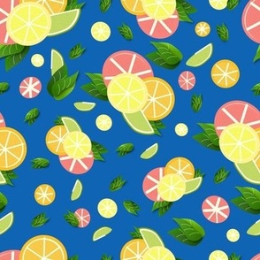 Pop of Citrus Fruit - Oranges Limes Lemons Grapefruit - Blue 