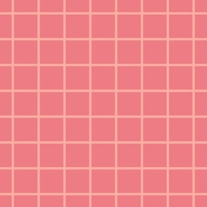 Peachy_Pink_Box_Checks