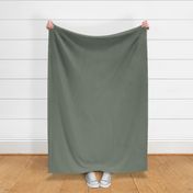 Rosemary green solid with subtle dots texture - Welcoming vintage garden coordinate