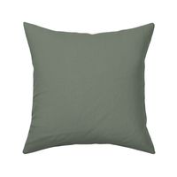Rosemary green solid with subtle dots texture - Welcoming vintage garden coordinate