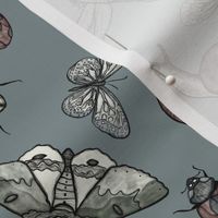 Medium Scale - Woodland Forest Insects, Dark Academia, Pen and Ink Beetles and Moths With Moody Light Blue Background