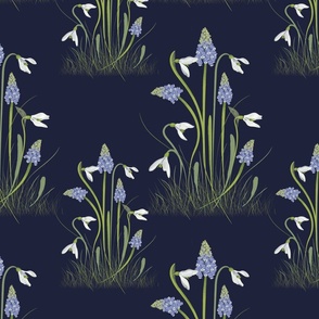 Muscari and Snow Drops_Navy