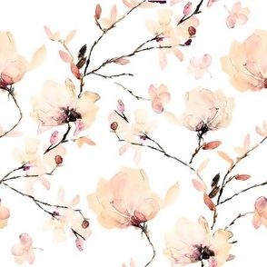 medium cream peach magnolia / watercolor / pink