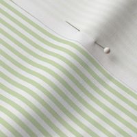 Candy Stripe 1/8" - 3244 micro // pastel green and white