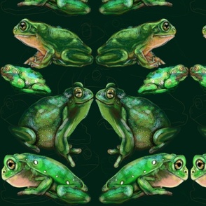 Australian_Frogs