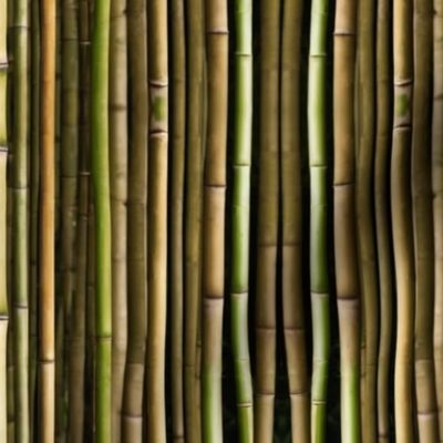 Forest Biome , Bamboo Stripe