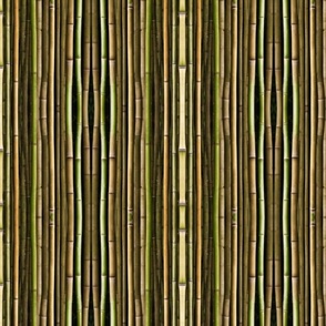 Forest Biome , Bamboo Stripe