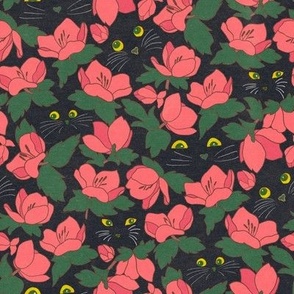 Black Cats Hiding amongst the Flowers