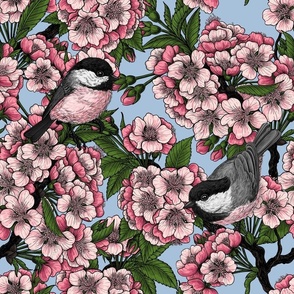 Cherry blossom and chickadees on sky blue