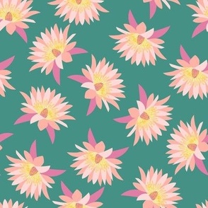 Water lily flowers - a pretty pink water lily flower pattern on a teal Green background