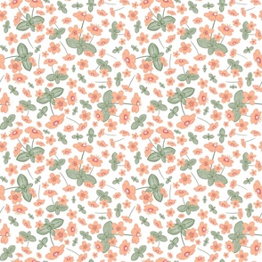 Scarlet pimpernel peach fuzz floral toss - Small