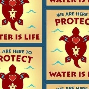 Water is Life Turtle Island Water Protector