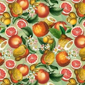 31.01.24.  14" Fresh orange lemonade - colorful summer watercolor citrus fruit dance -  antique hand painted orange fruit and leaves home decor  - green