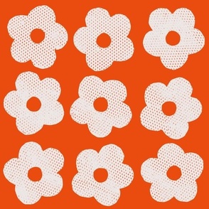 Off white flowers on orange background - large