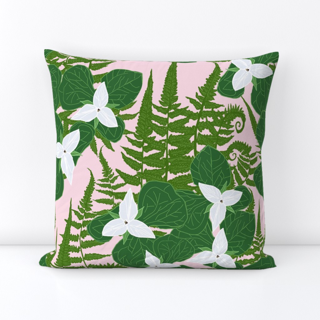 White Trillium and Ferns on a pink forest floor