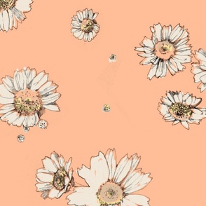 Large Scale Hand Drawn Pencil White Daisies Spaced Out on Peach Fuzz
