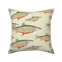 Hand Drawn Brook Trout on Cream (Small)