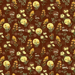 468. wild medicinal flower on brown background - small scale 