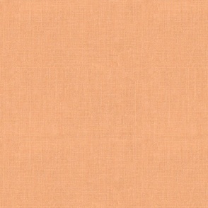 Linen Look - Pantone Peach Fuzz