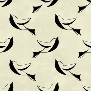 Swallows