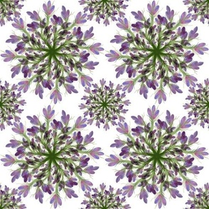 Purple Floral Mandalas on White (M)