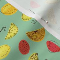 Fruit Slices ✦  Strawberry Lemon Lime ✦  Mint Green BG