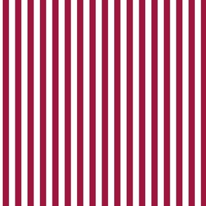 Bold dark pink and white vertical stripes (medium)