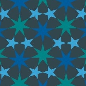 16405744 : U75E2 : spoonflower0696