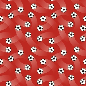 (M) Soccer balls on red background