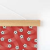 (S) Soccer balls on red background