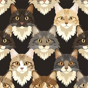 Cat Faces