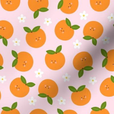 Little Cuties Clementines on Pastel Pink and Orange