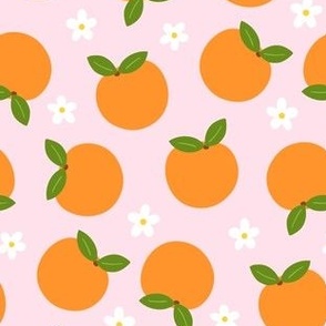 Orange Cuties Clementine Oranges on Pastel Pink