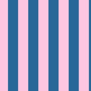 2 Inch Awning Stripe in Dark Denim and Pink