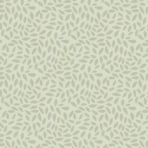 Delicate green leaves densely packed on a lighter green background creating a textural effect