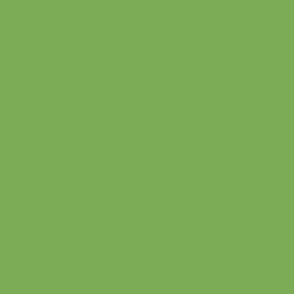 KIWI plain solid green color